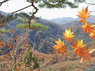 井冈山景区住宿哪里好_井冈山干部学院入学要求？